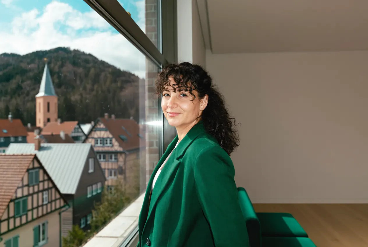 Illustration: Steuerkanzlei in Lahr/Schwarzwald – Kanzlei-Website von NK IT Service