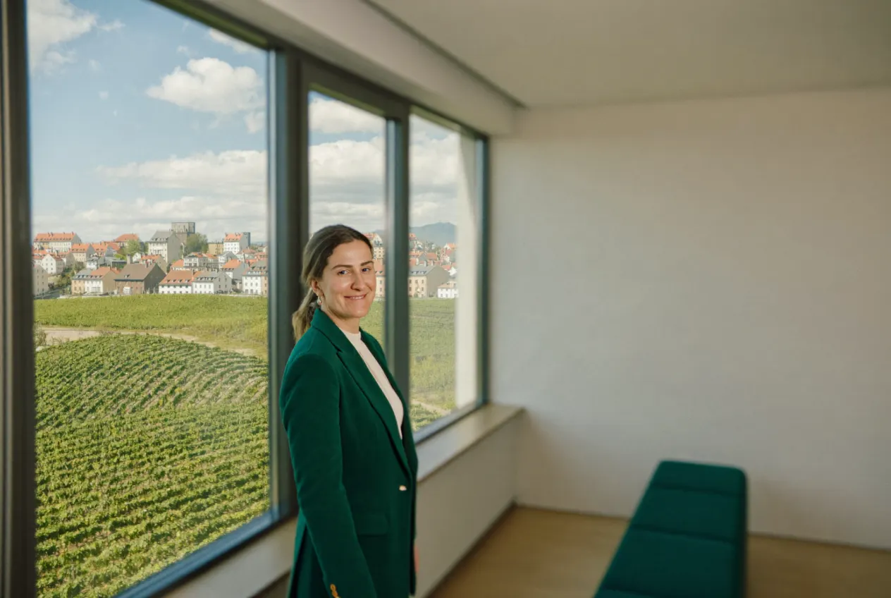 Illustration: Steuerkanzlei in Offenburg – Kanzlei-Website von NK IT Service