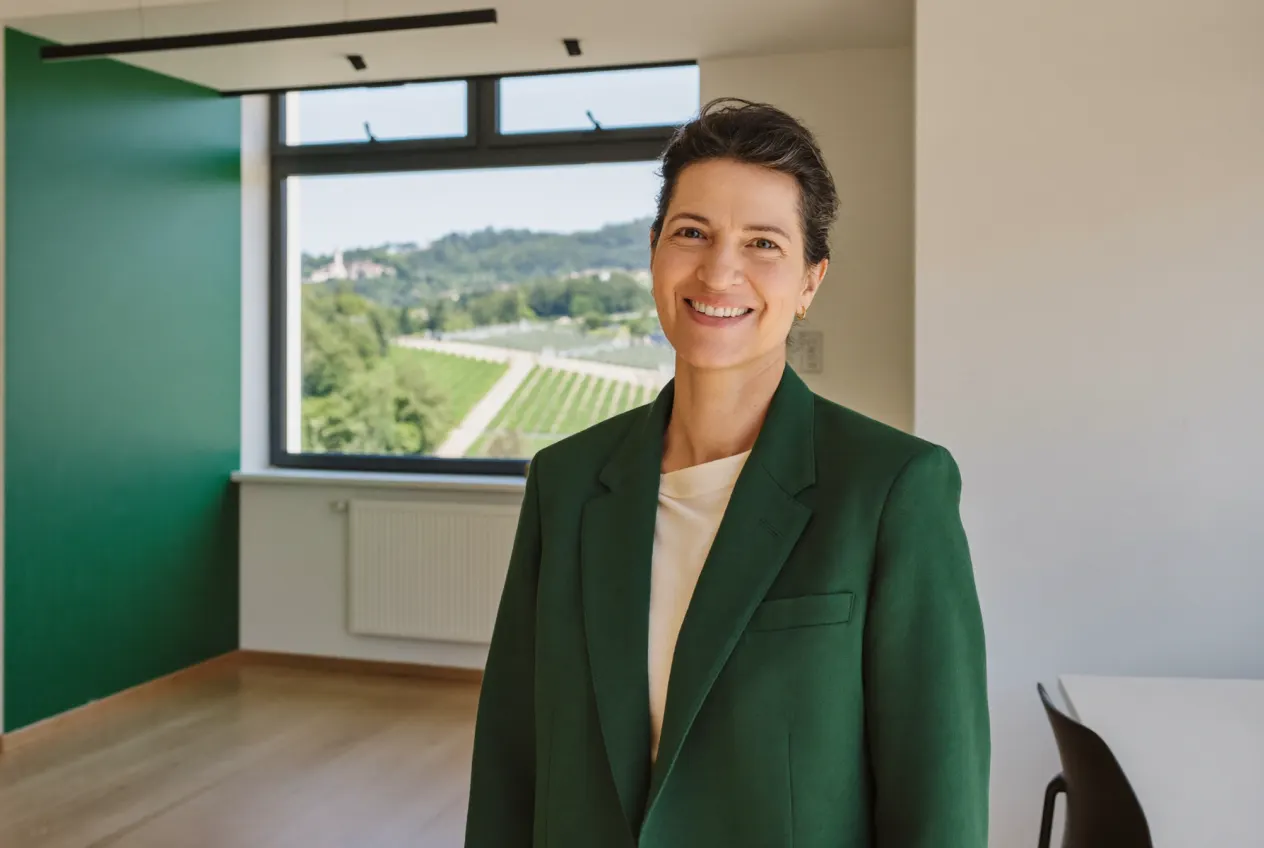 Illustration: Steuerkanzlei in Stuttgart – Kanzlei-Website von NK IT Service